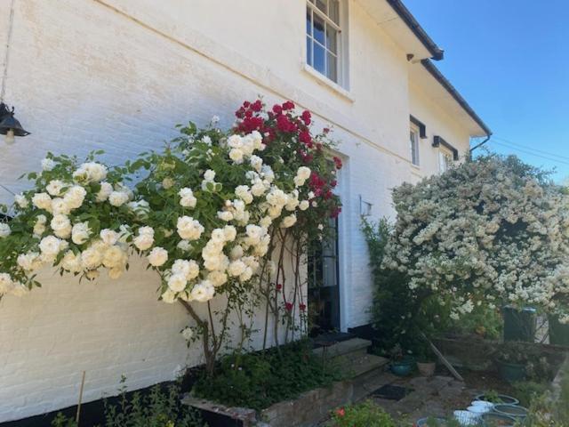 Old Rectory - Scoulton Apartment Great Ellingham Luaran gambar