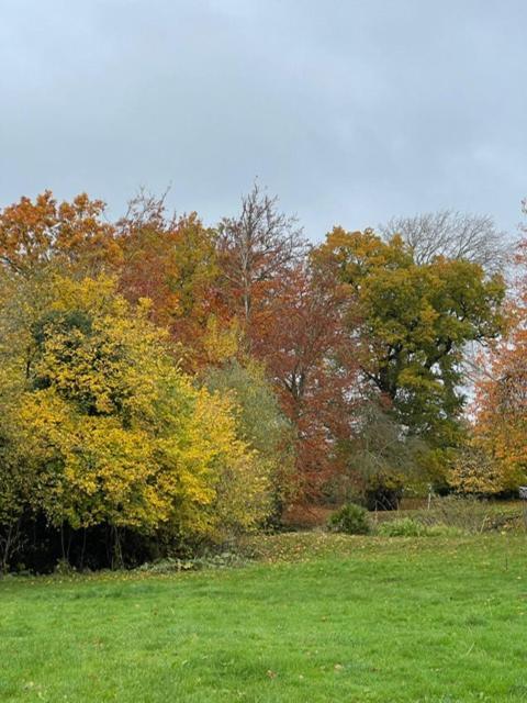 Old Rectory - Scoulton Apartment Great Ellingham Luaran gambar