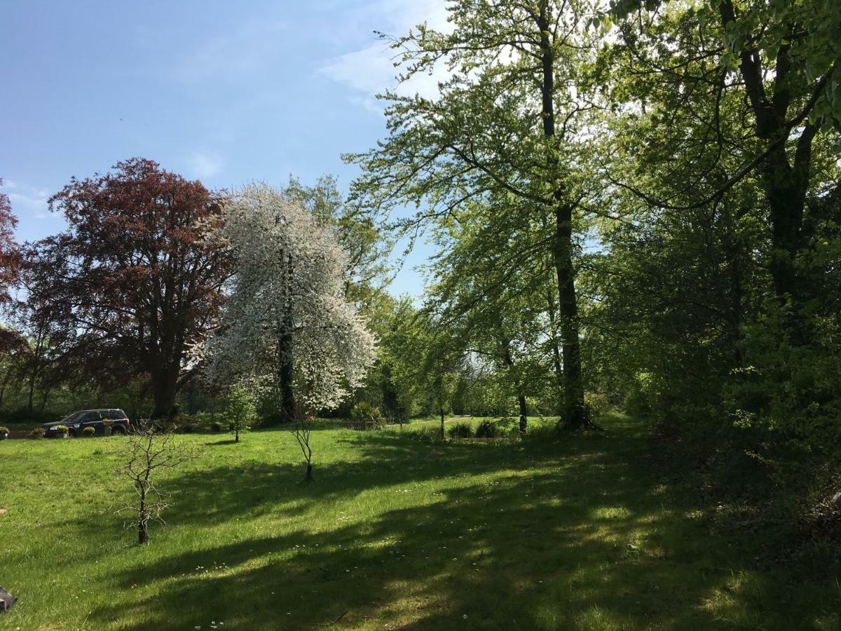 Old Rectory - Scoulton Apartment Great Ellingham Luaran gambar